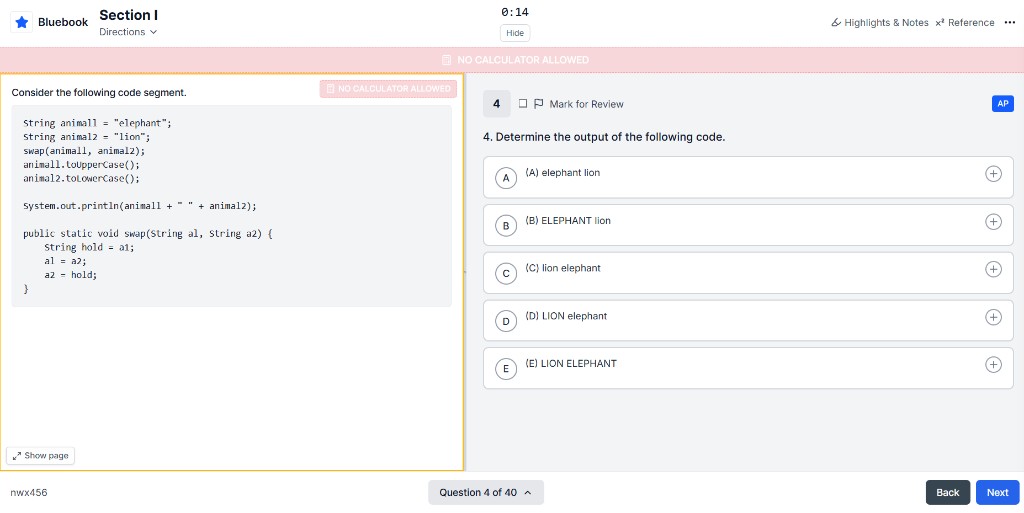 AP Practice Exam Online exam interface preview